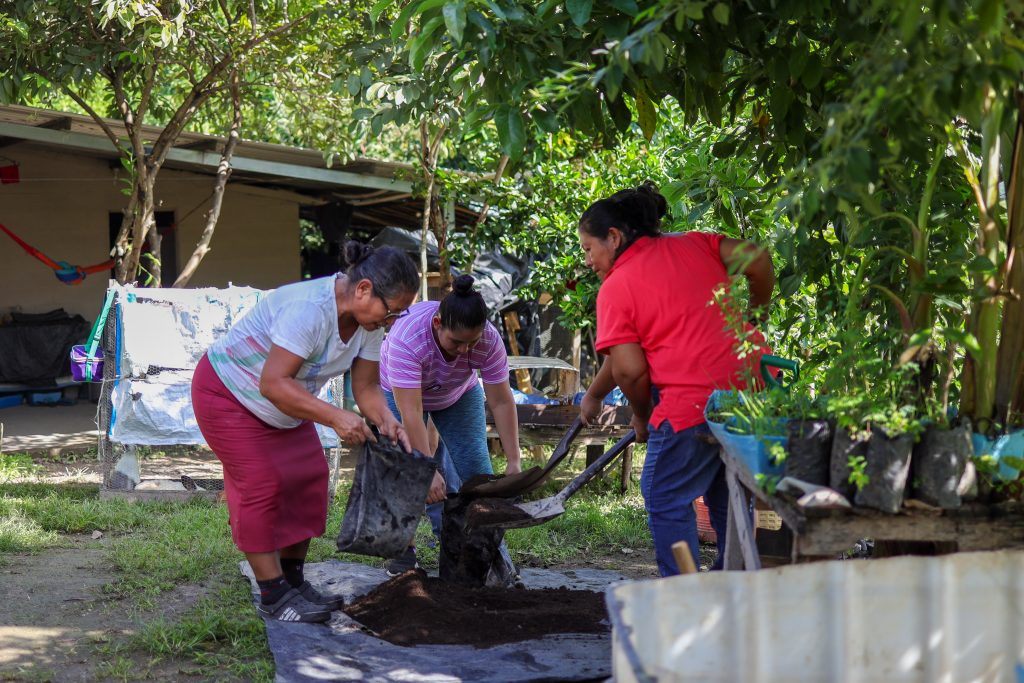 Fundación Pablo Tesak-23