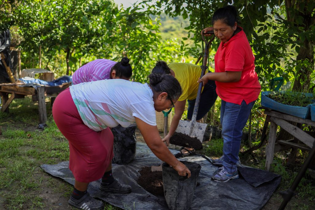 Fundación Pablo Tesak-25