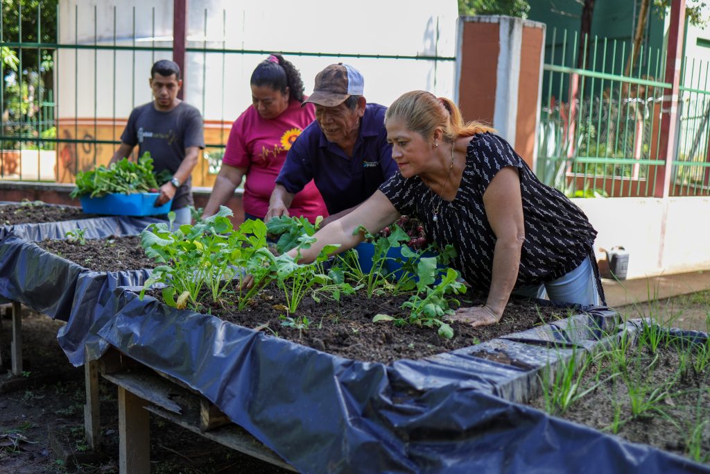 Fundación Pablo Tesak-44